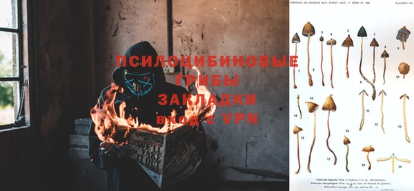 дживик Карталы