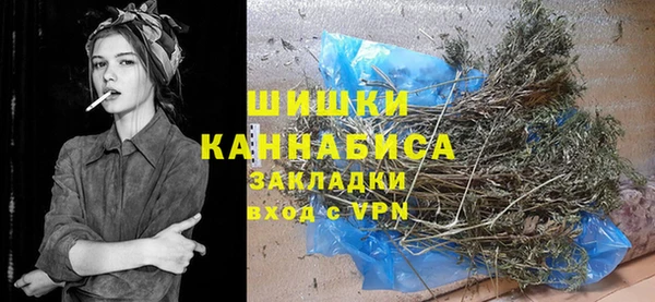 гидропоника Каменка
