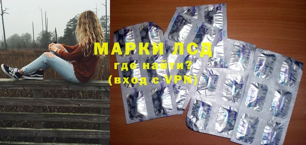 гидропоника Каменка