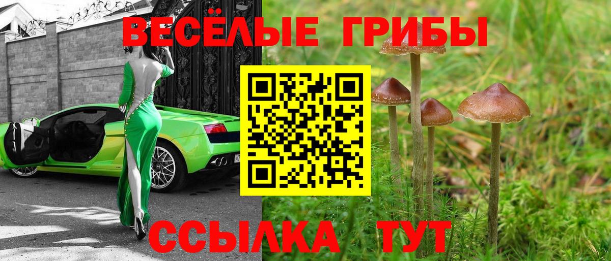 Крымск  Галлюциногенные грибы Magic Shrooms  Вход с VPN 