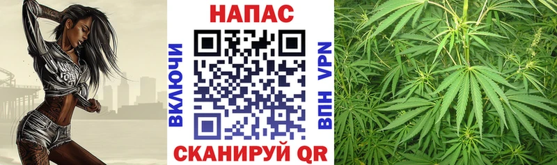 Бошки марихуана OG Kush  Крымск 